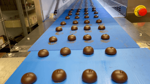 Chocolate covered creams on a conveyor belt