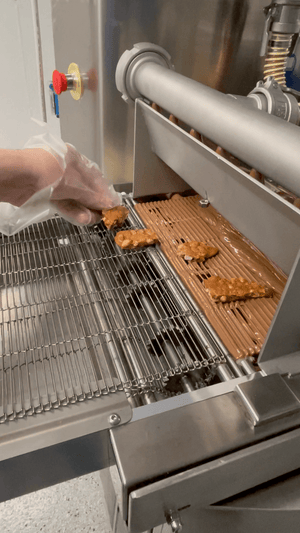 placing Kellerhaus peanut brittle on the belt to be coated in chocolate