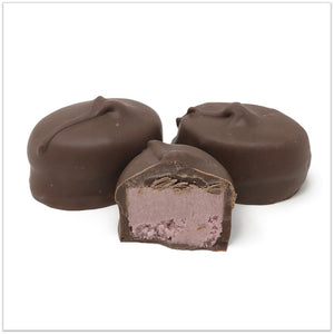 Sugar Free Chocolate Raspberry Sherbet