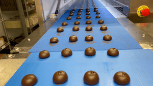 Chocolate covered creams on a conveyor belt