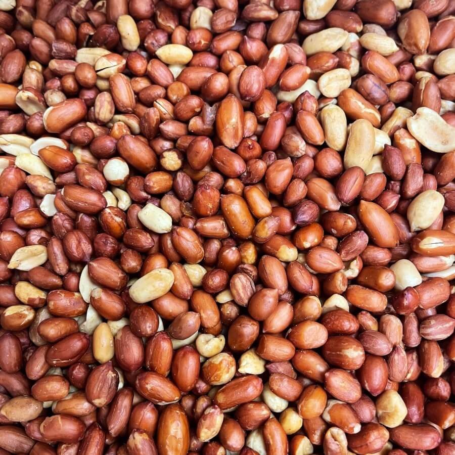 Spanish Peanuts (Salted) – Kellerhaus